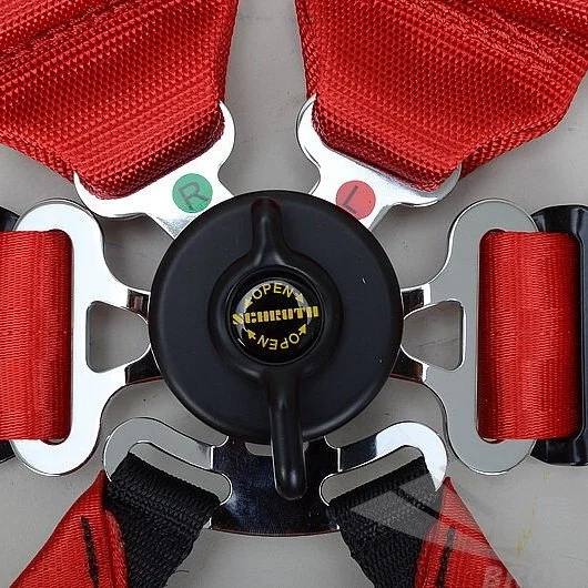 Schroth Flexi 2x2 Harness — Track First